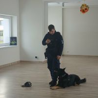 Niecodzienni goście