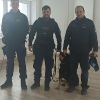 Niecodzienni goście